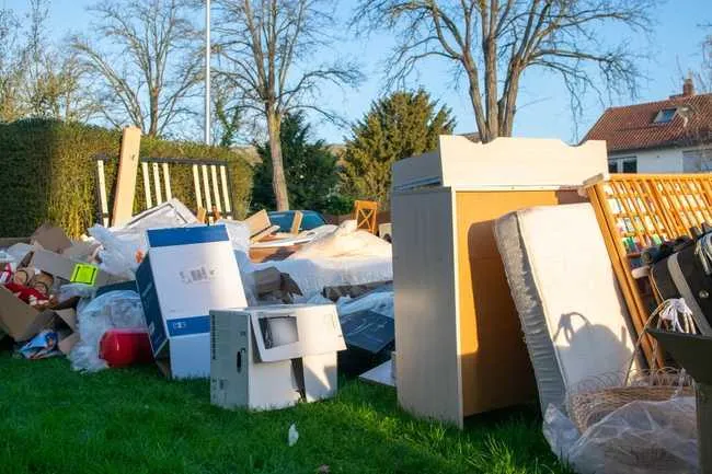 Tackling Springfield Yard Waste Through the Seasons