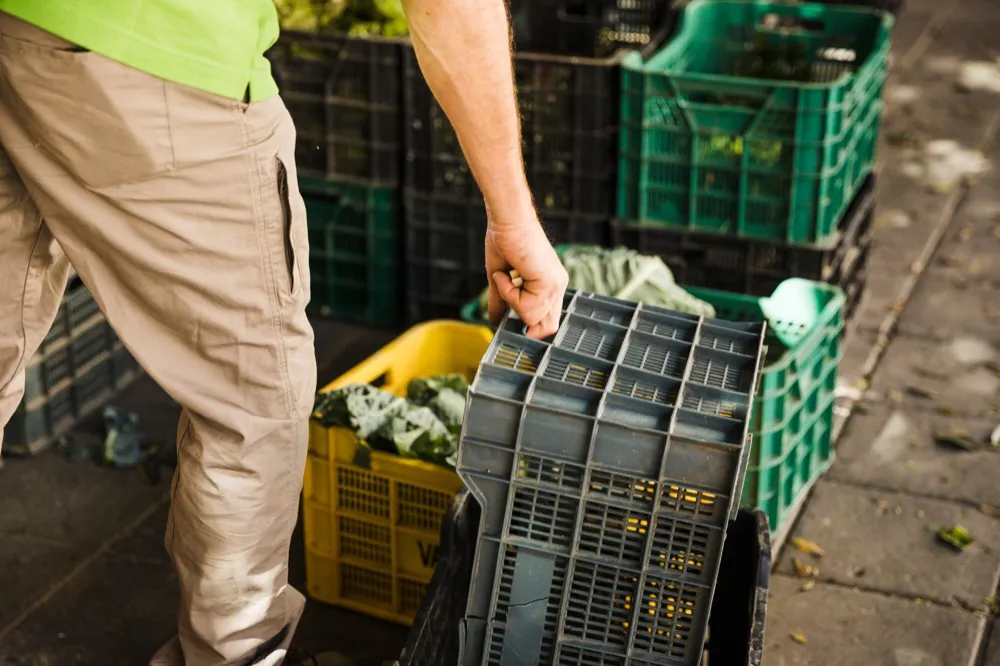 How Dumpster Rentals in Seymour, MO, Simplify Rural Living